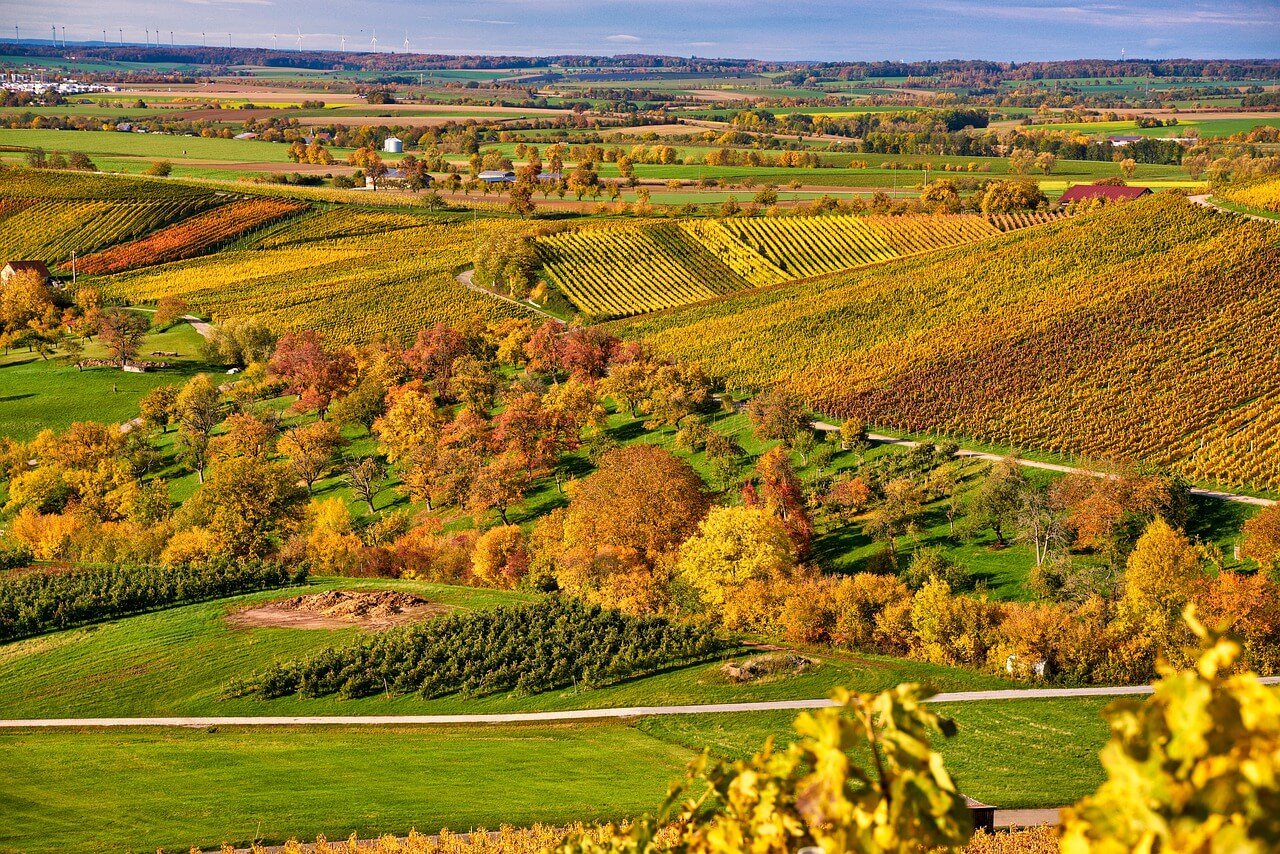 Droits Externes à l'Exploitation de vignes - Onivins
