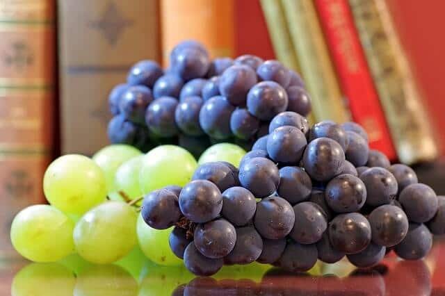 Classement des variétés de vigne - ONIVINS