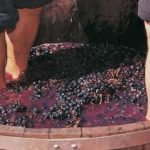 Vinification du vin rouge - ONIVINS