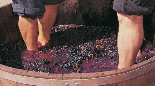 Vinification du vin rouge - ONIVINS