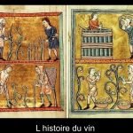 histoire de la vigne et du vin - Onivins (1)