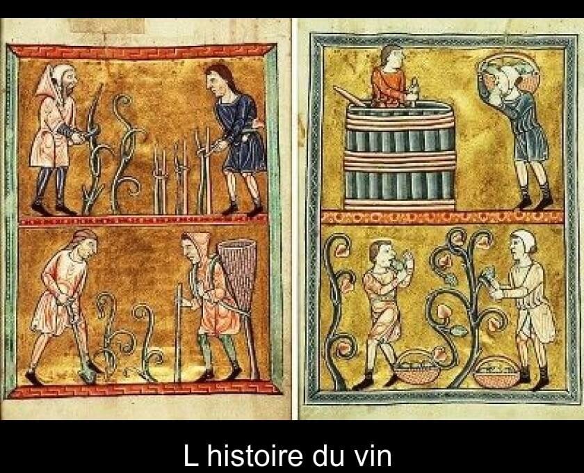 histoire de la vigne et du vin - Onivins (1)