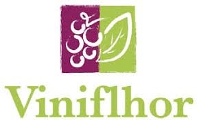 Viniflhor - Onivins